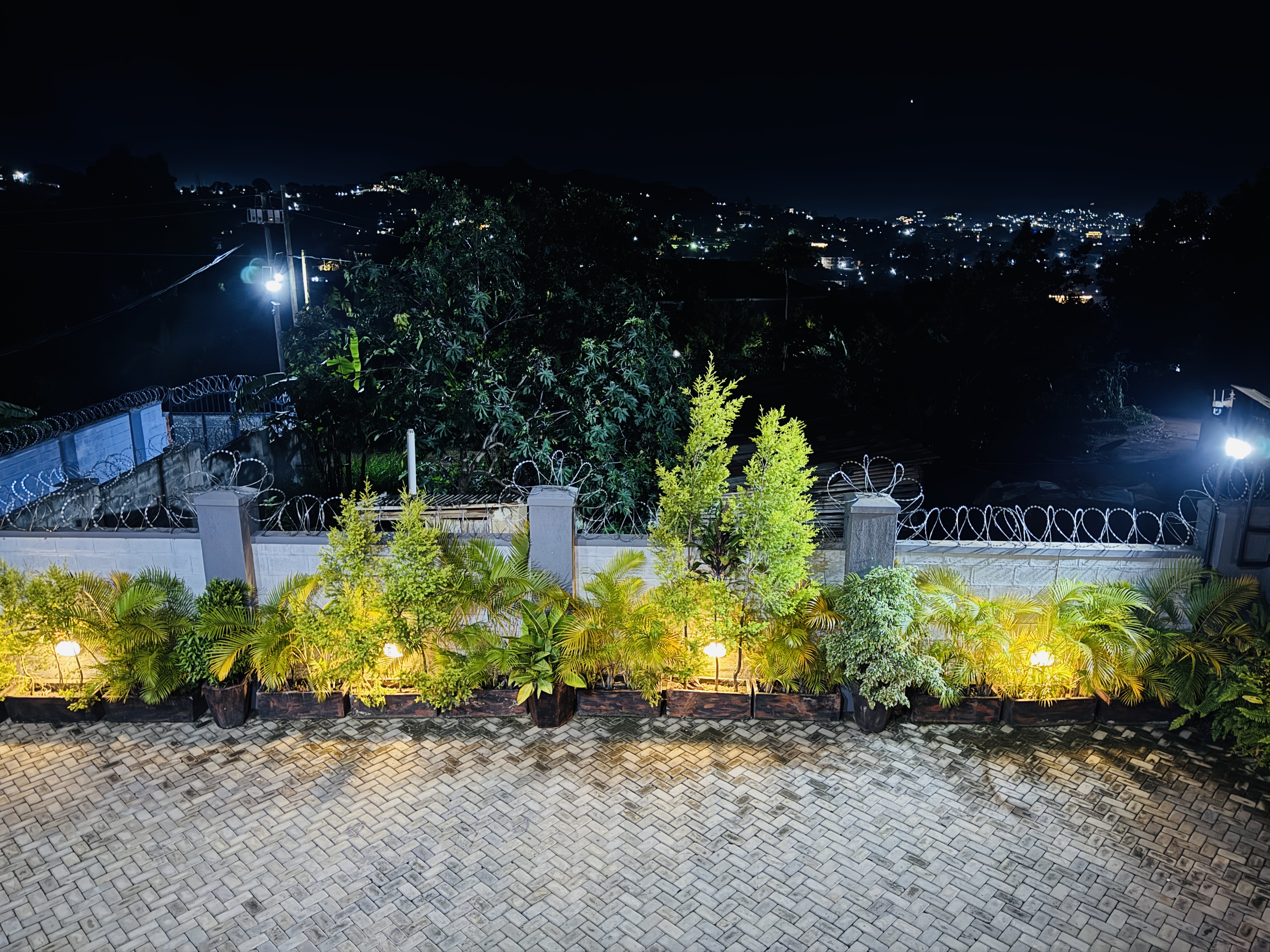 view