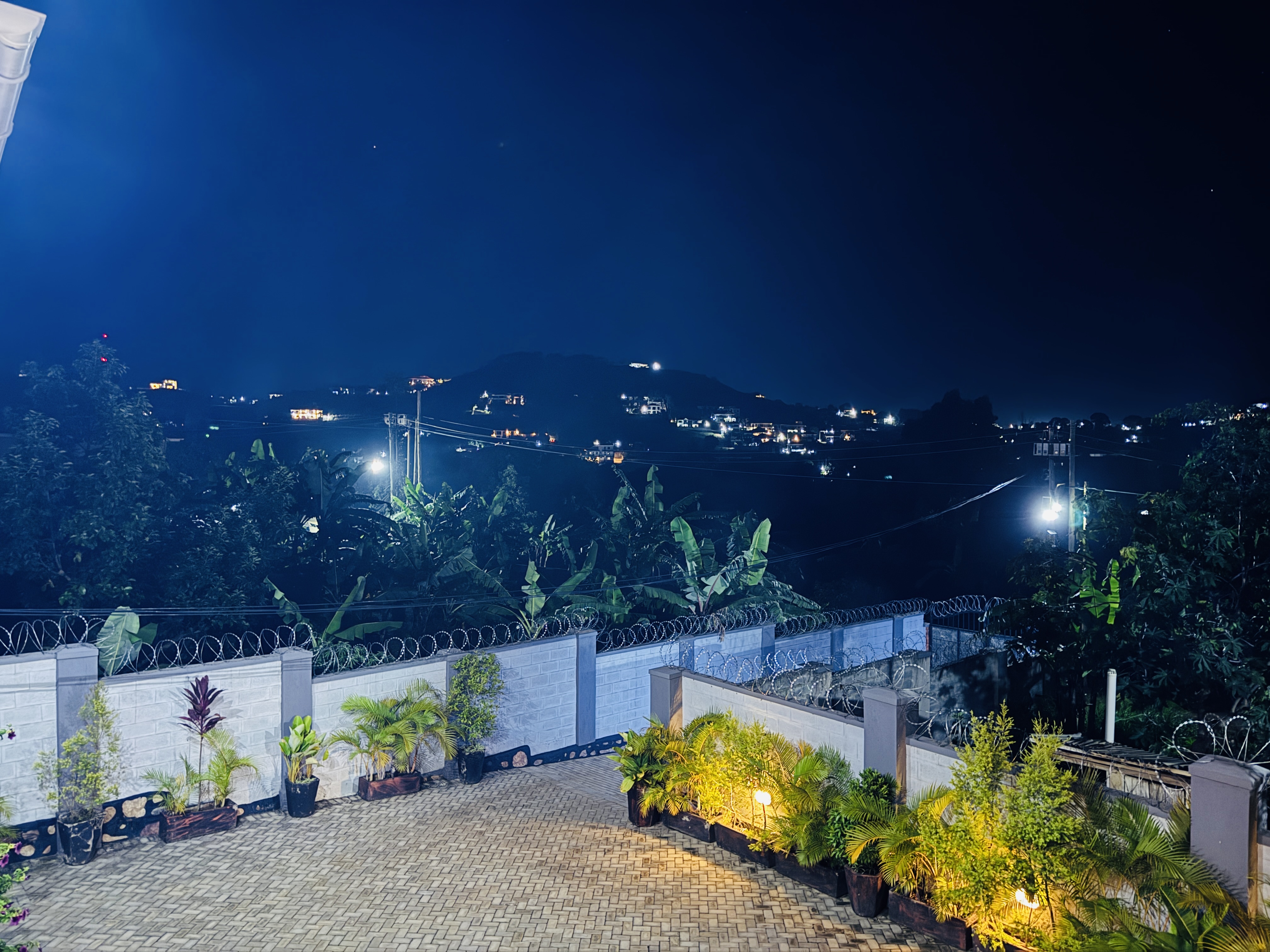 view
