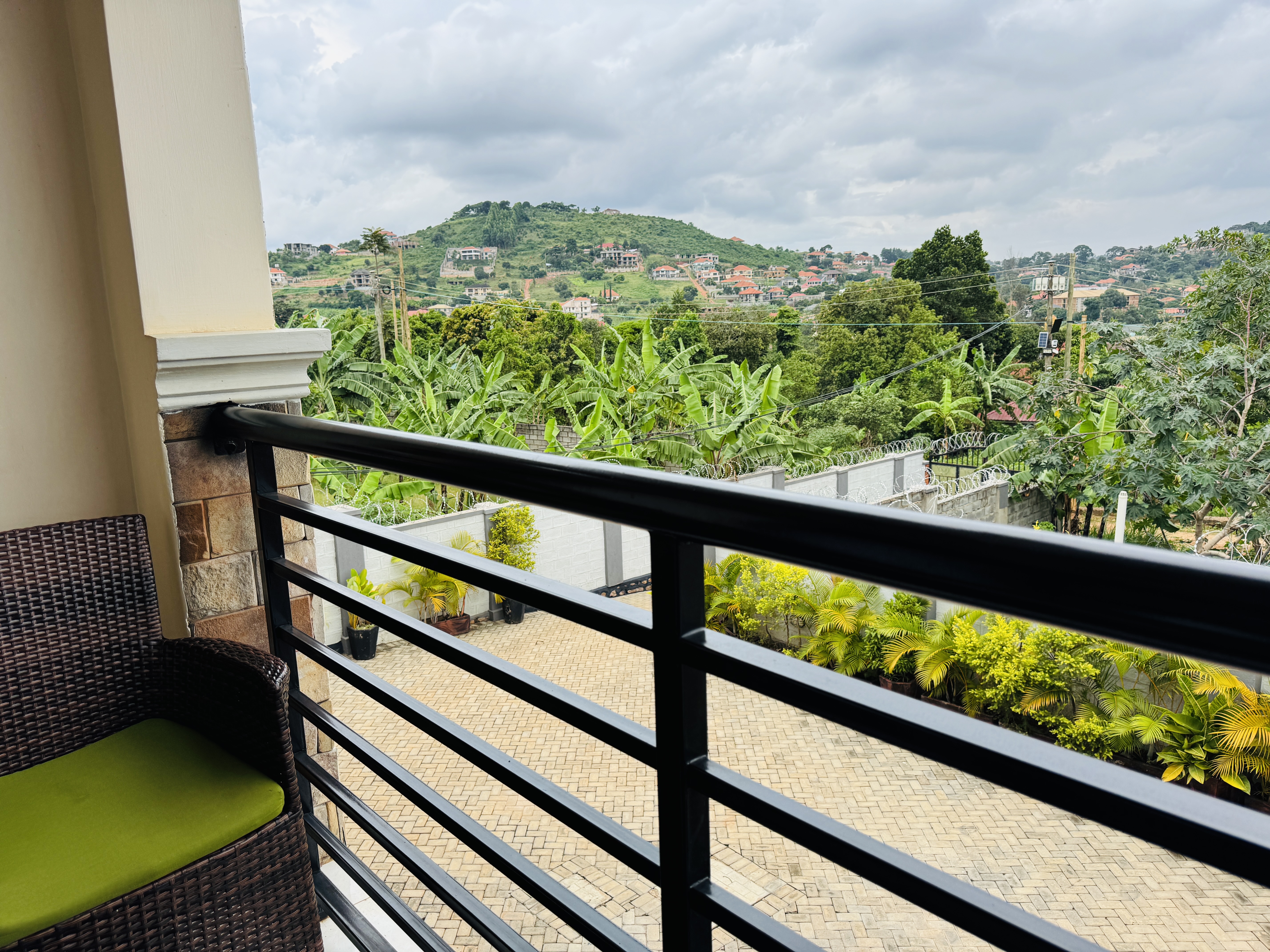 view